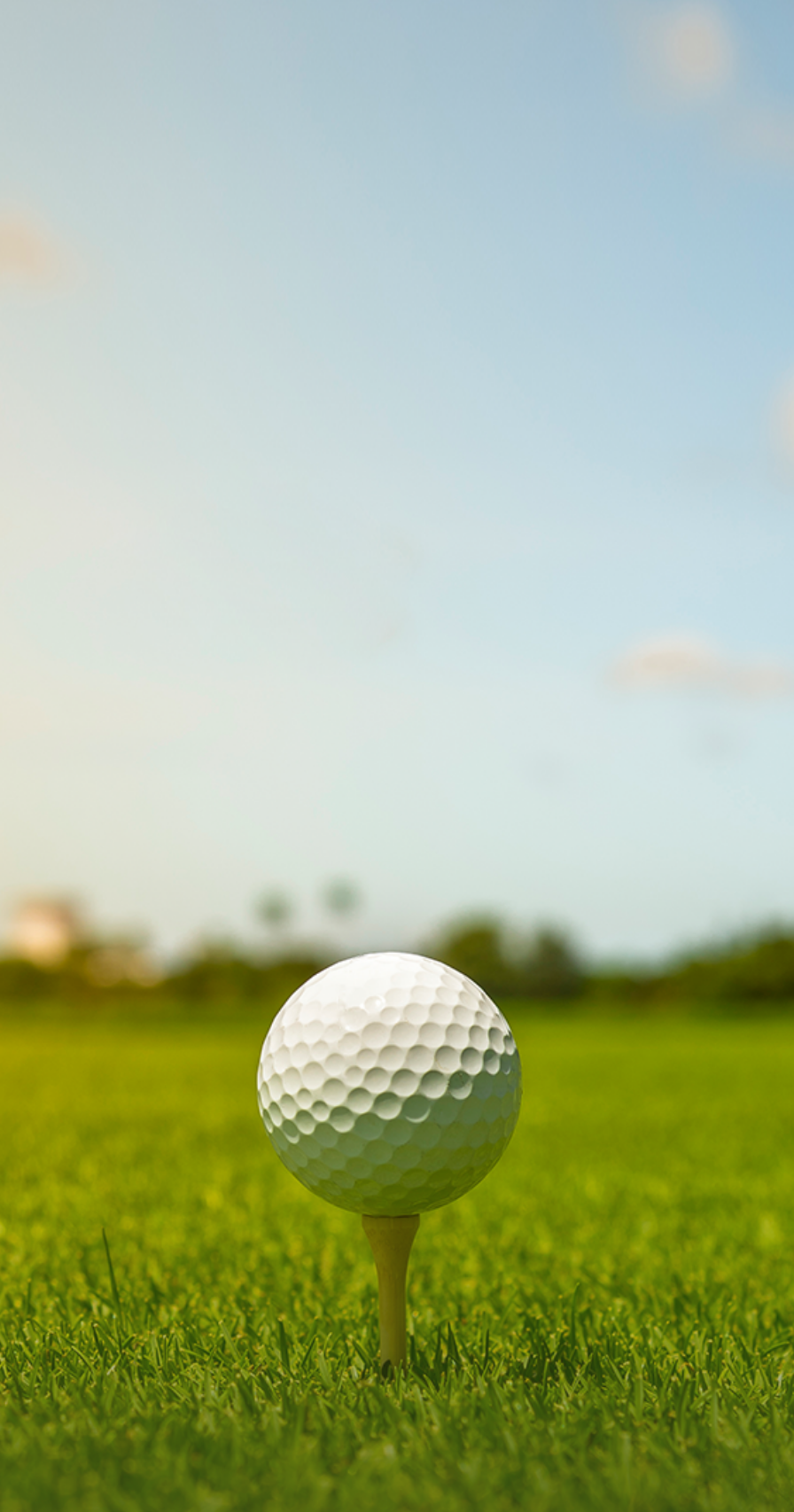 Lions Club Charity Golf Cup
